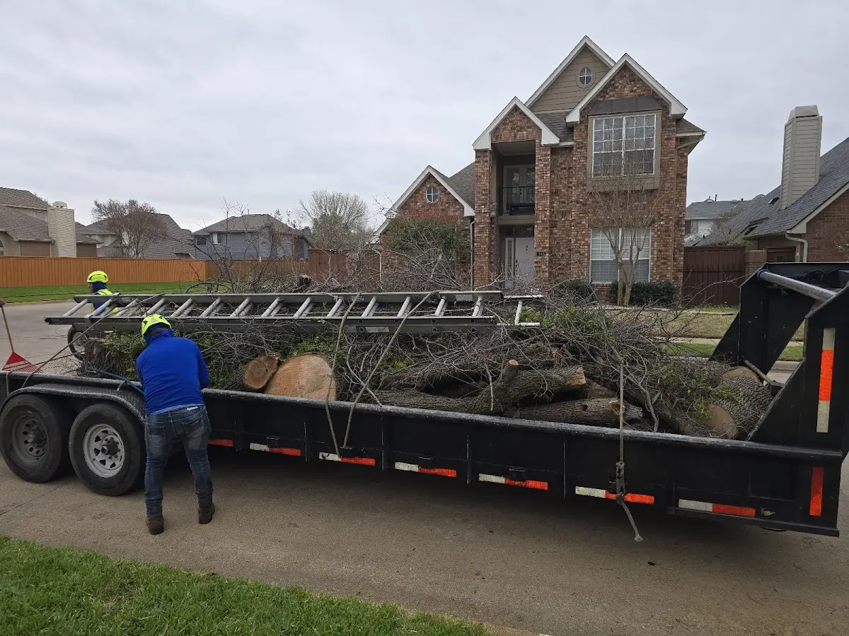 Expert Tree Fertilization with proper safety equipment in Seekonk
